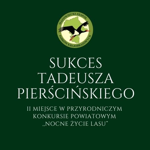 Sukces Tadeusza Piercińskiego